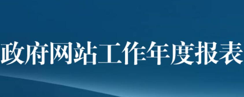 政府网站年度工作报表