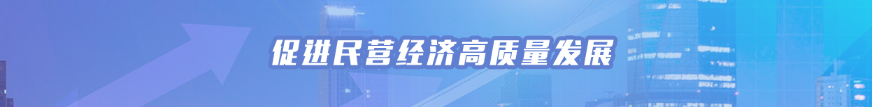 促进民营经济高质量发展