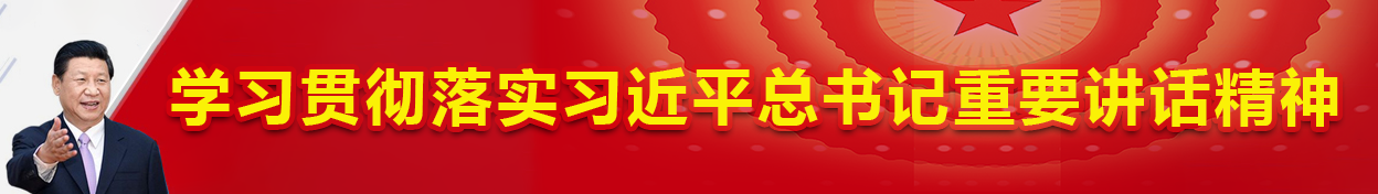 学习贯彻落实习近平总书记重要讲话精神